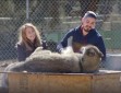 Animal Planet puts spotlight on Lockwood Valley’s LARC