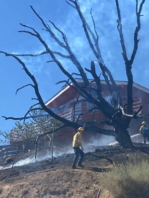 Firefighters protecting a structure above Walnut Trail.