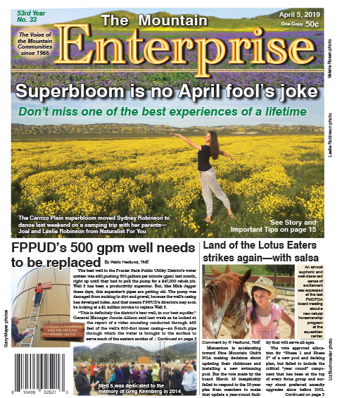 The Mountain Enterprise April 5, 2019 Edition