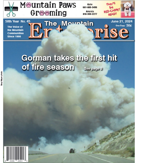 The Mountain Enterprise June 21, 2024 Edition