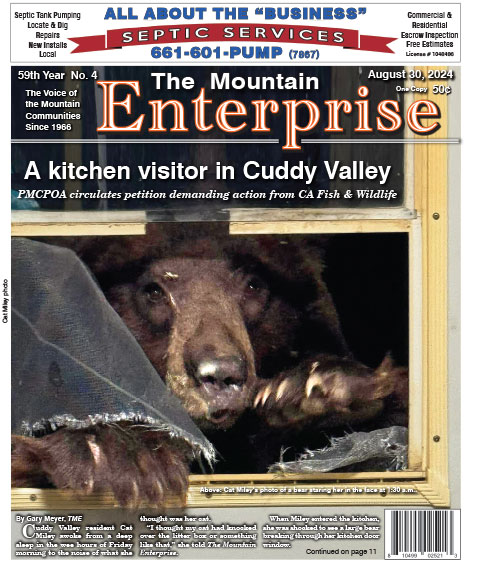 The Mountain Enterprise August 30, 2024 Edition