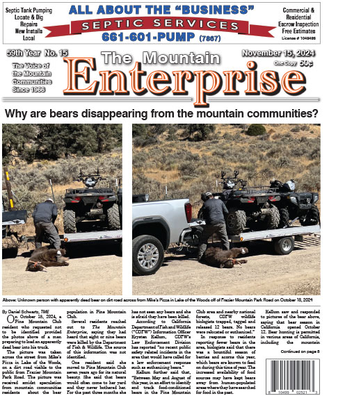 The Mountain Enterprise November 15, 2024 Edition