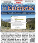 The Mountain Enterprise February 28, 2025 Edition