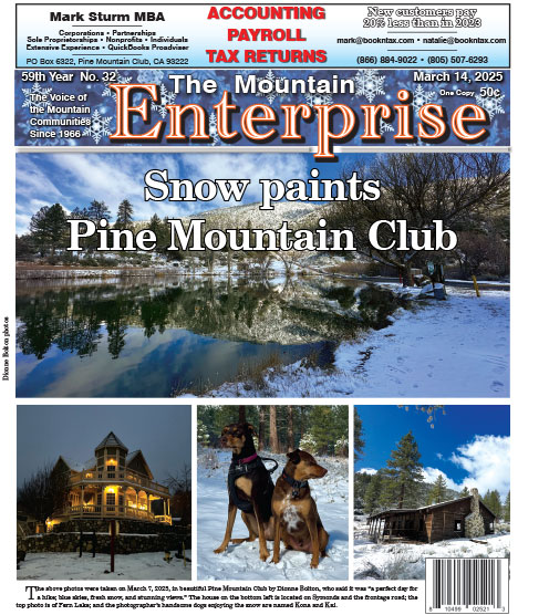 The Mountain Enterprise March 14, 2025 Edition