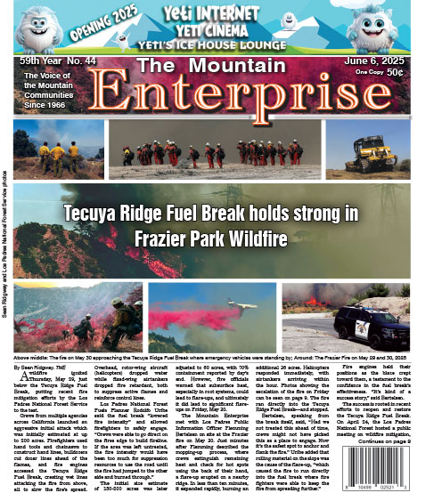 The Mountain Enterprise June 6, 2025 Edition
