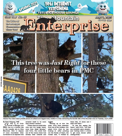 The Mountain Enterprise July 11, 2025 Edition