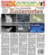 The Mountain Enterprise January 2, 2026 Edition