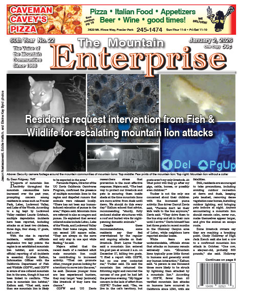 The Mountain Enterprise January 2, 2026 Edition