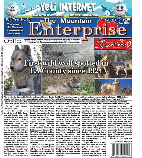 The Mountain Enterprise February 13, 2026 Edition