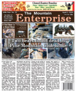 The Mountain Enterprise April 3, 2026 Edition