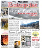 The Mountain Enterprise March 16, 2018 Edition