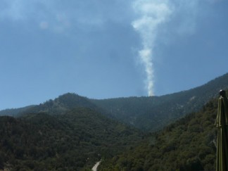 The smoke plume from a fire on Mt. Piños at 11:30 a.m. on Monday, Aug. 12. [photo by Douglas Page on Tirol Drive in Pine Mountain]