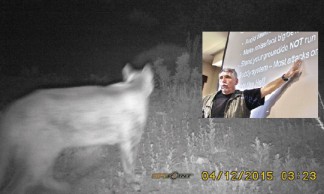 This mountain lion was spotted at 3:23 a.m. on Terri Lacasse’s nightvision camera near her Lake of the Woods home on Woods Drive, just after Robin Parks (inset) came from San Diego to tell (below) residents and law enforcement how to stay safe, keep local pets alive and avoid the death of a lion. [photo by Terri Lacasse]