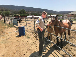 [Ventura County Sheriff's Department photo]